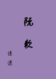 阮软是什么意思